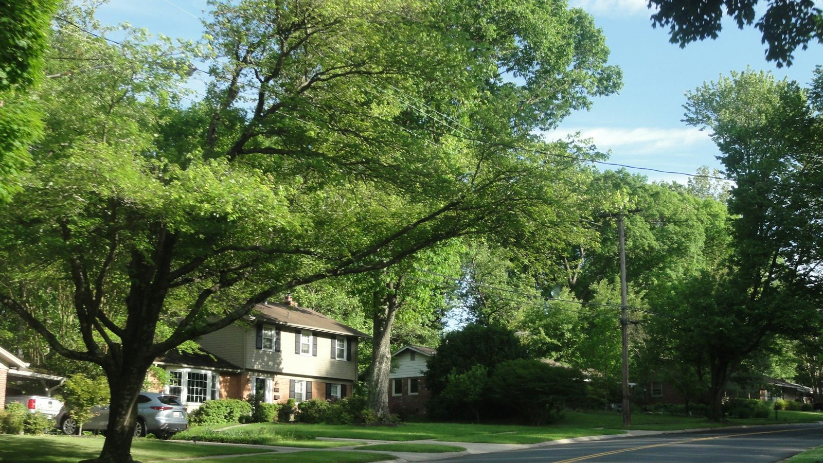 Guia da Vila Formosa: o bairro residencial e arborizado que equilibra preço e qualidade de vida