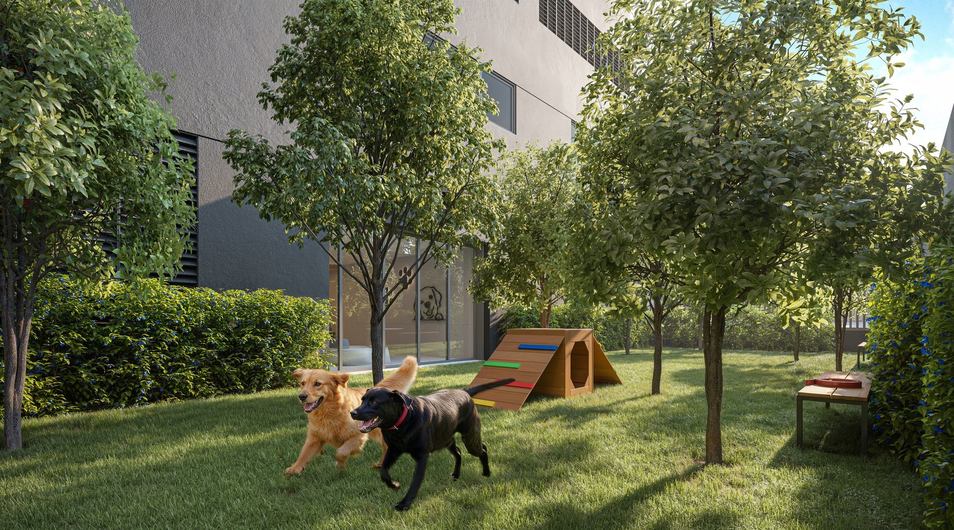 Pet care (perspectiva artística)