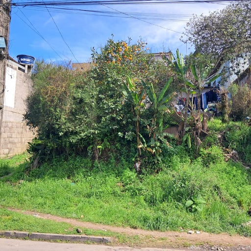 Venda -  Terreno Avenida Dr. Mario Lopes Bairro Centenario / Nossa Senhora de Fatima  - Caxias do Sul - RS