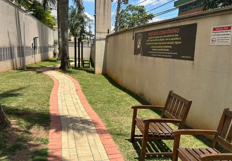 Imagem 19