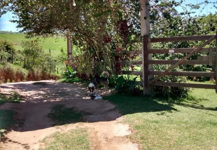 Imagem 9