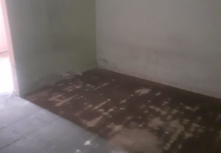 Imagem 17