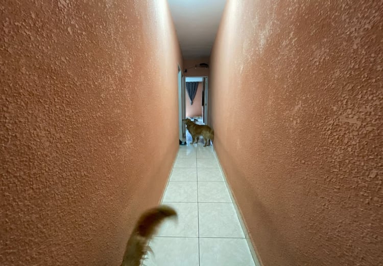 Imagem 15