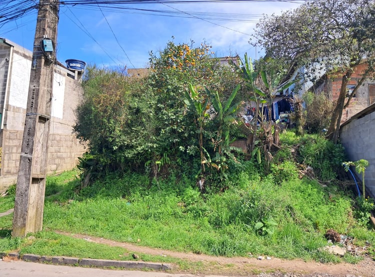 Imagem 1