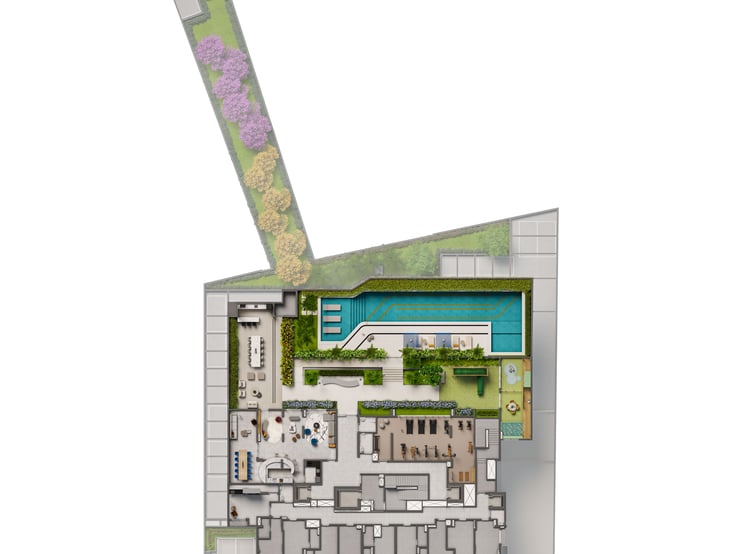 Planta 5
