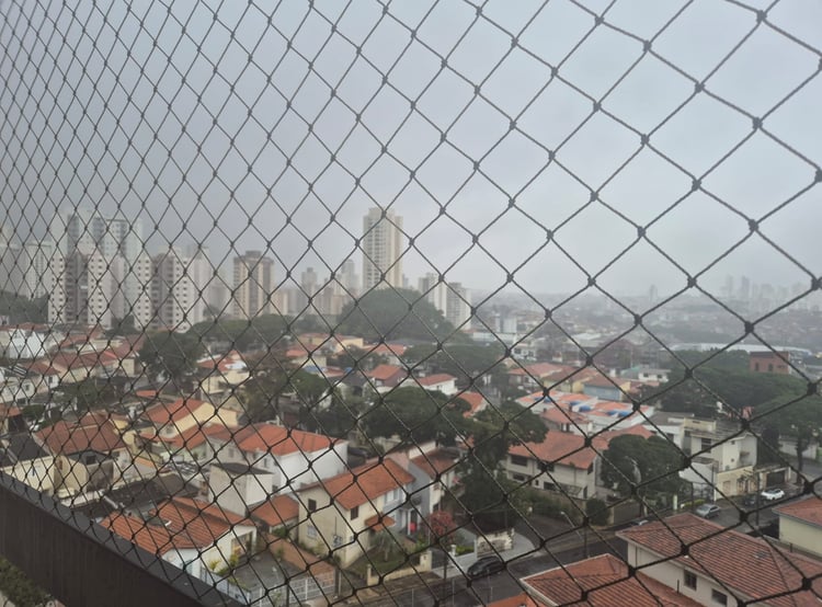 Imagem 3