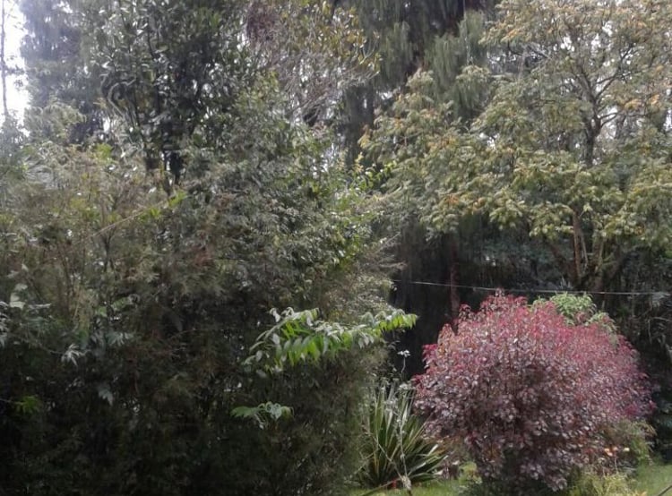 Imagem 3