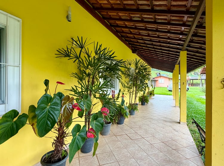 Imagem 3