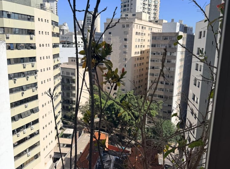 Vista urbana