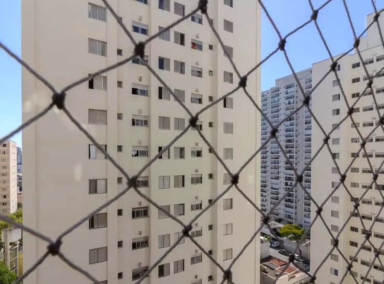 Imagem 5