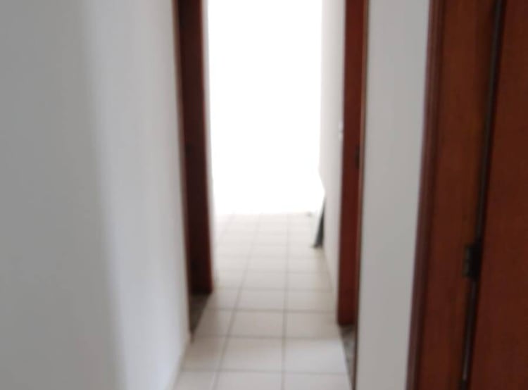 Imagem 5