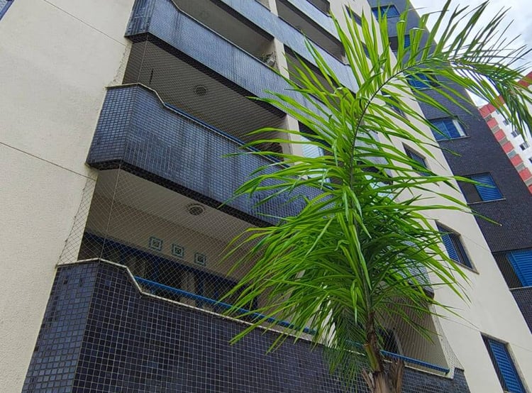 Imagem principal