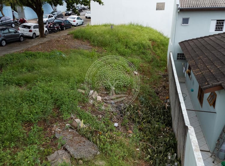 Imagem principal