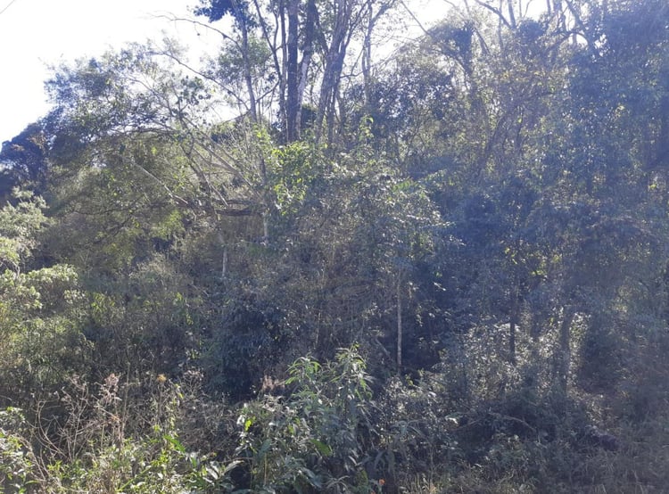 Imagem 5