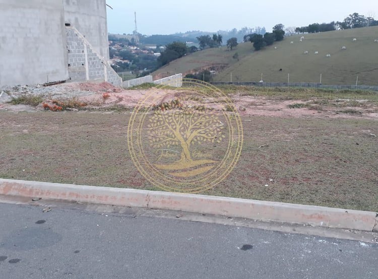 Imagem 3