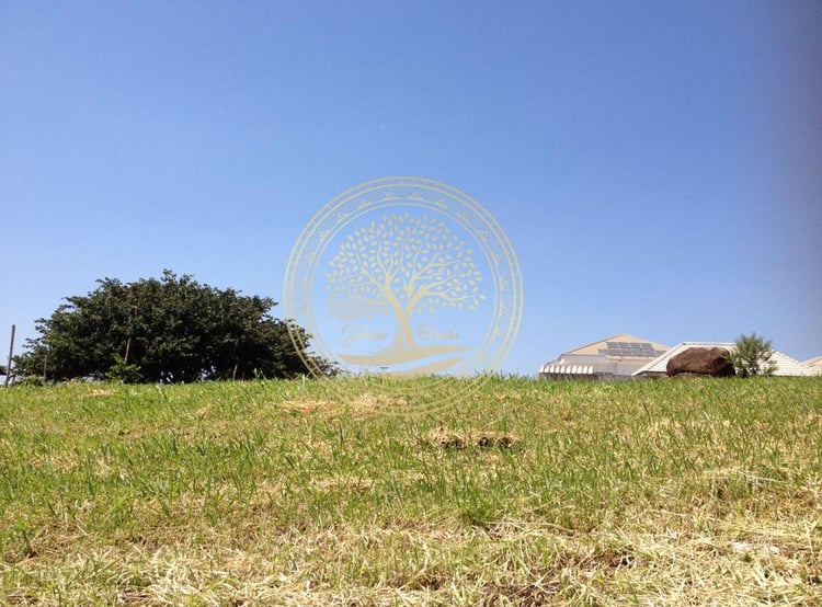 Imagem 5