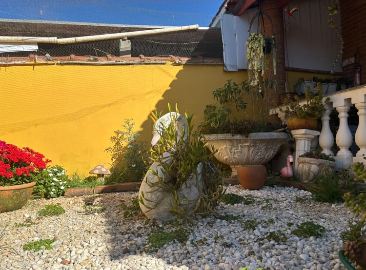 Imagem 2
