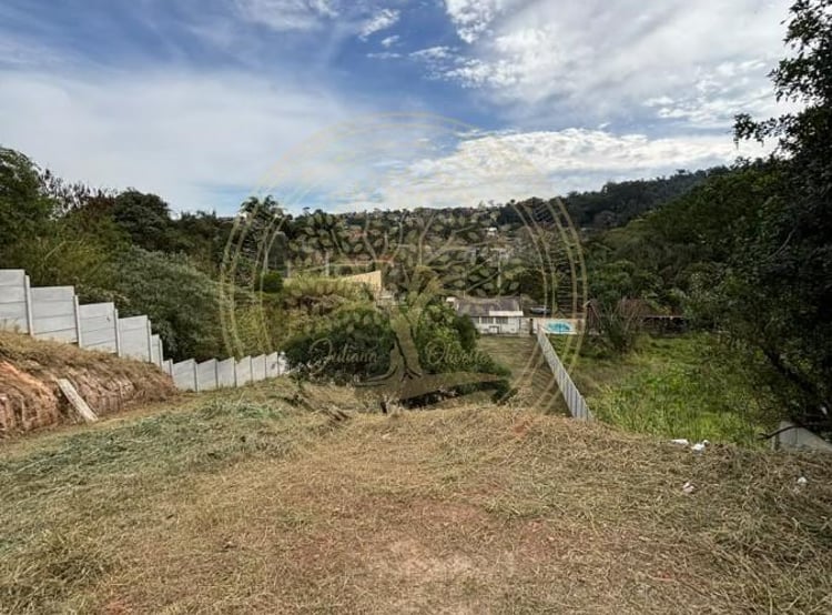 Imagem 4