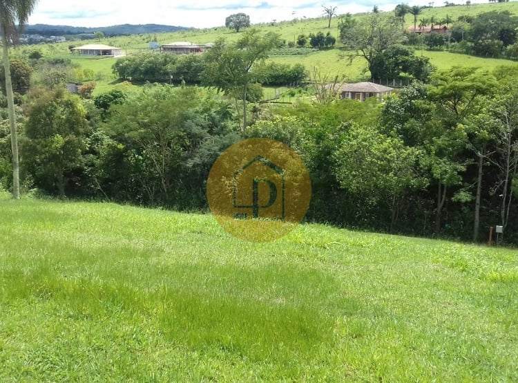 Imagem 4