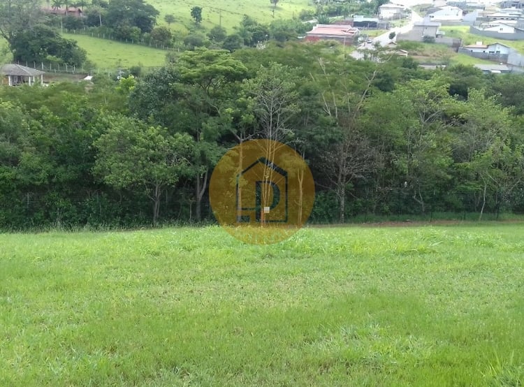 Imagem 5