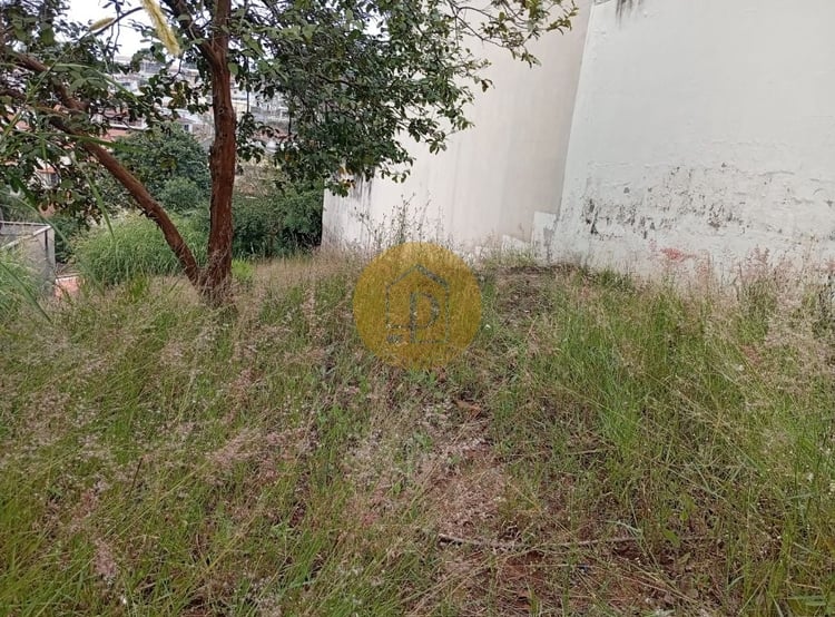 Imagem principal