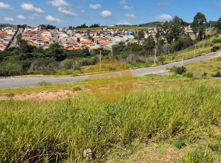 Imagem 4