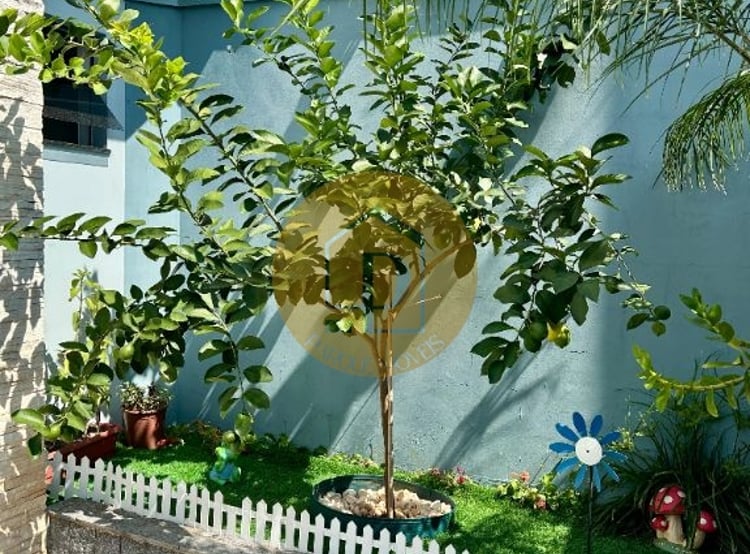 Imagem 3