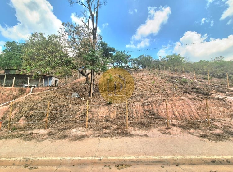 Imagem principal