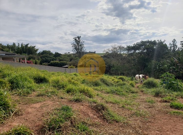 Imagem principal