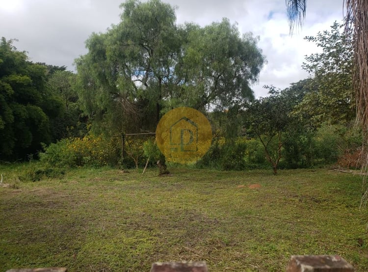 Imagem principal