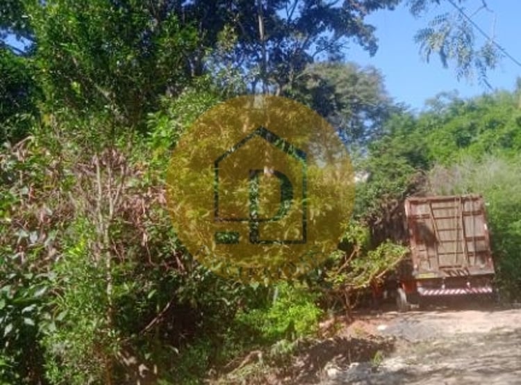 Imagem 2