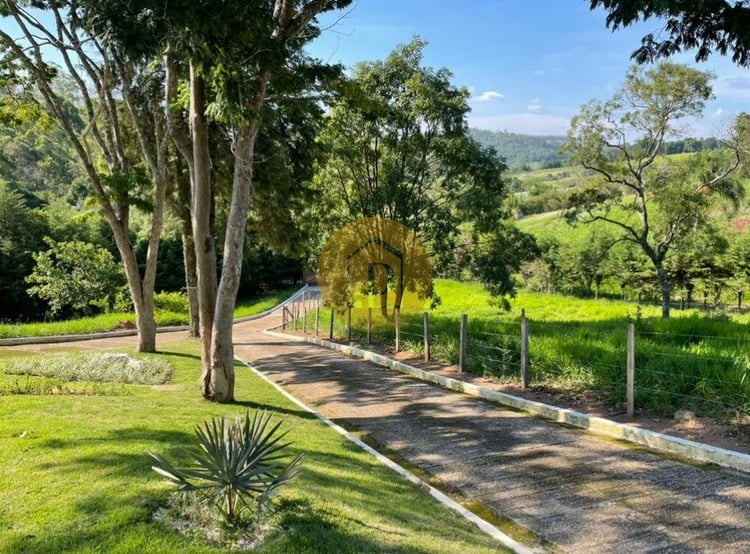 Imagem principal
