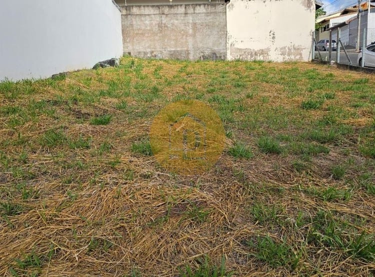 Imagem 4