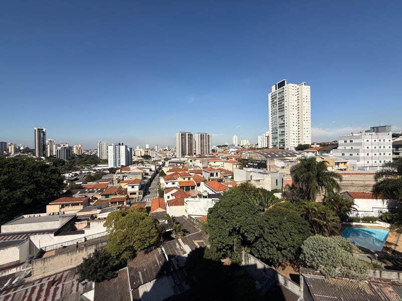 Renaissence Anália Franco