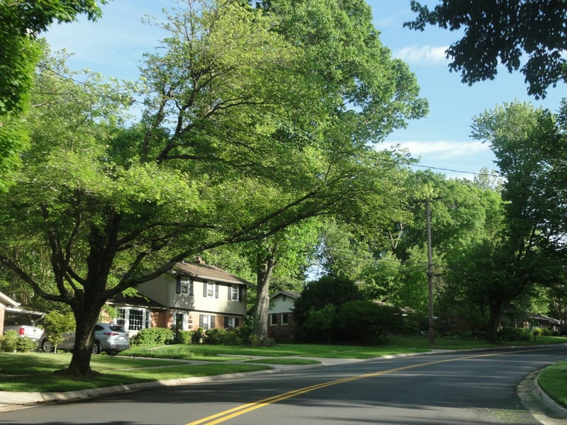 Guia da Vila Formosa: o bairro residencial e arborizado que equilibra preço e qualidade de vida