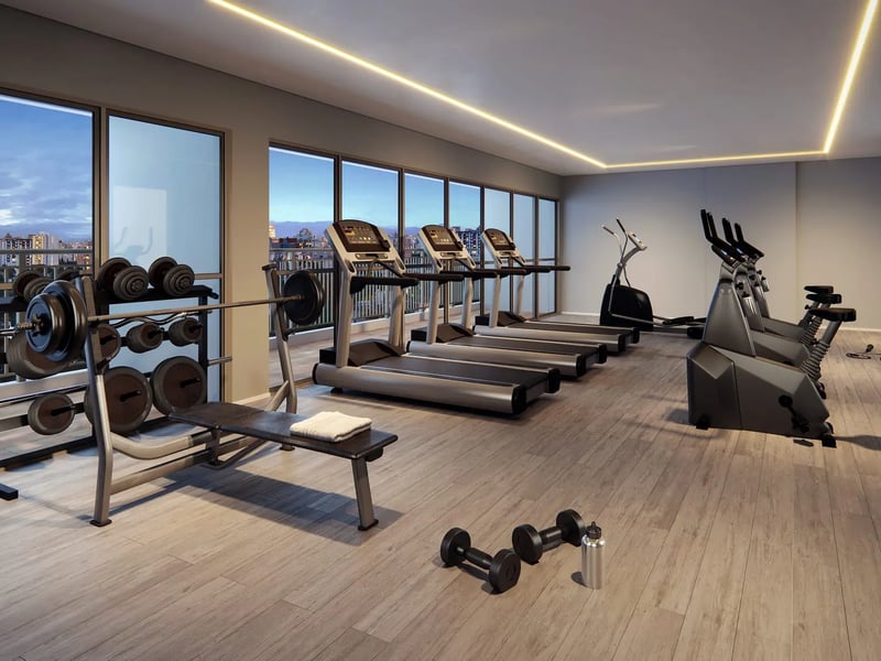 24-Fitness-std-scaled.webp