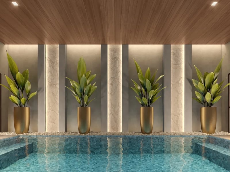 perspectiva_ilustrada_do_spa.webp