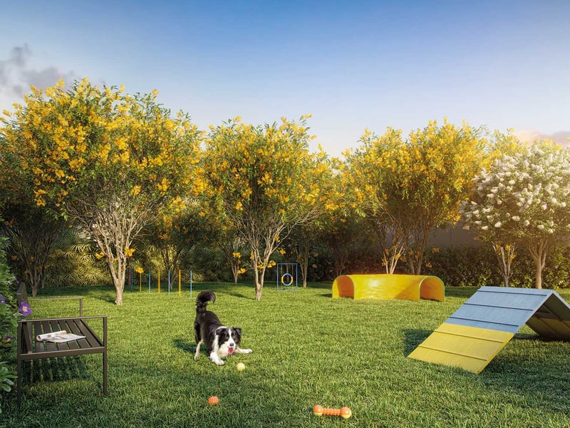 dream-view-vila-prudente-pet-place-big.jpg