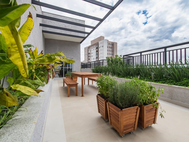 Organic Garden.jpg