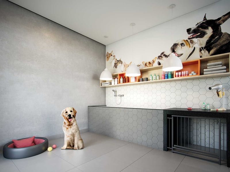 dream-view-vila-prudente-pet-care-big.jpg