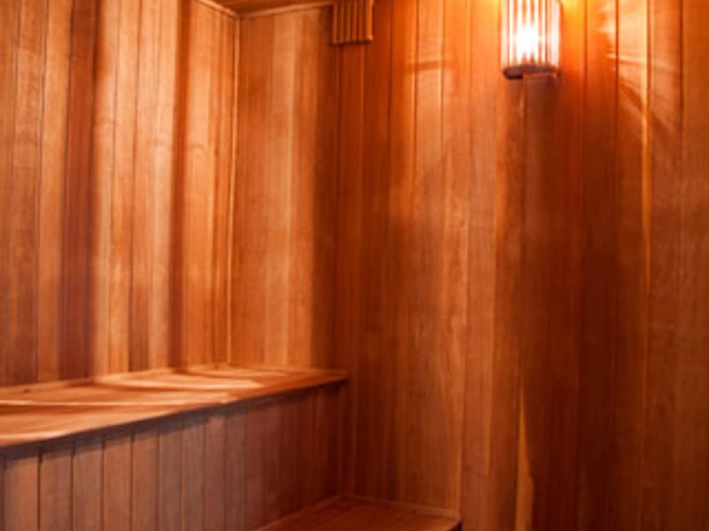 iba-sauna.jpg